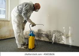 Reliable West Chicago, IL Mold Remediation Solutions